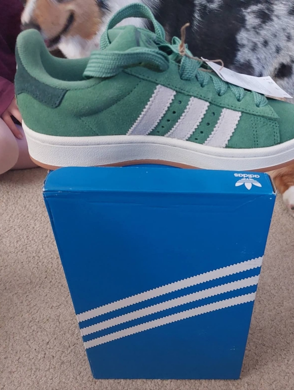 adidas Green Suede Sneakers with White Stripes